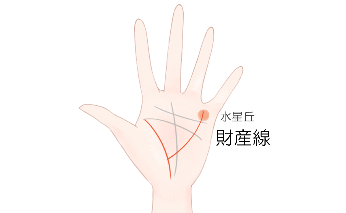 生命線の見方 特徴別に解説するビジュアル手相占い アリスの占い館