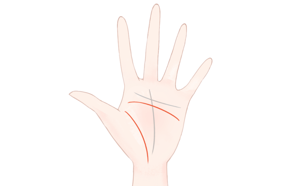 生命線の見方 特徴別に解説するビジュアル手相占い アリスの占い館