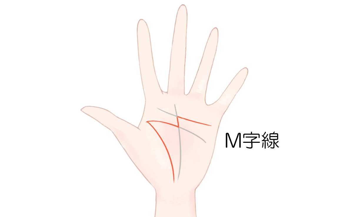生命線の見方 特徴別に解説するビジュアル手相占い アリスの占い館
