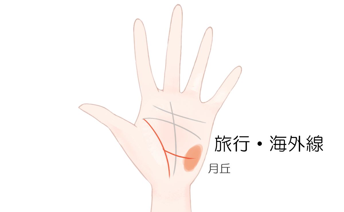 生命線の見方 特徴別に解説するビジュアル手相占い アリスの占い館