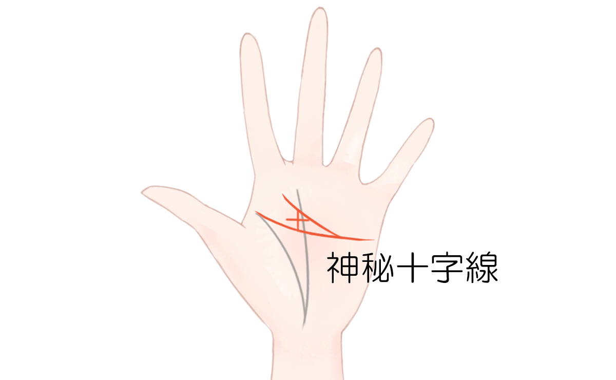 ますかけ線の見方 特徴別に解説するビジュアル手相占い アリスの占い館